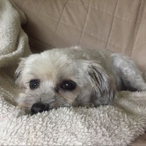 Meet your Posher, Nickole